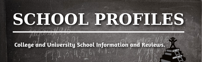 online school profiles
