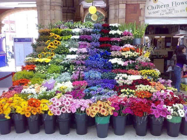 FloralManagement11