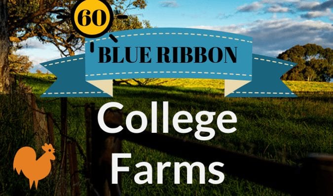 College Farms