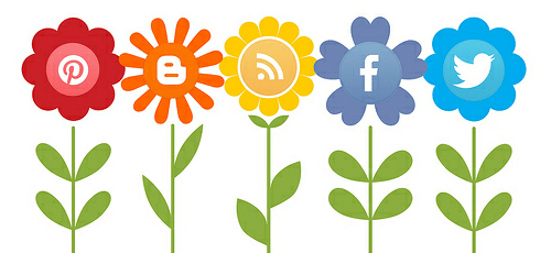 online presence social media