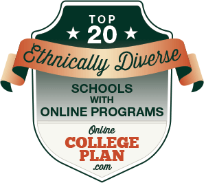 peeling Kilimanjaro kabel Top 20 Most Ethnically Diverse Schools With Online Programs