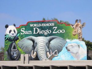 san diego zoo