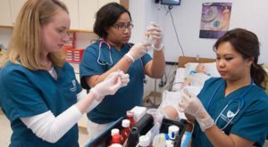 RN to BSN online program