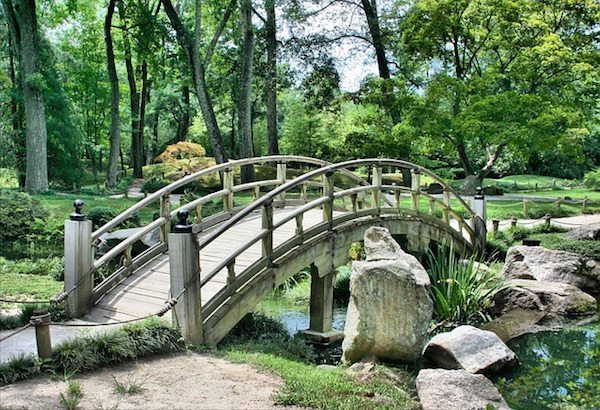 Vocational School Garden and Landscaping Designer