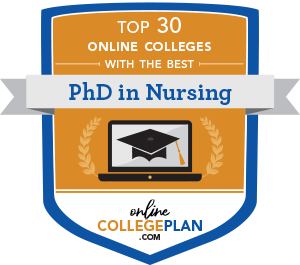 phd program nursing online