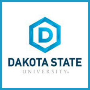 DSU: affordable online master's programs