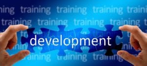 PhD in Training and Development