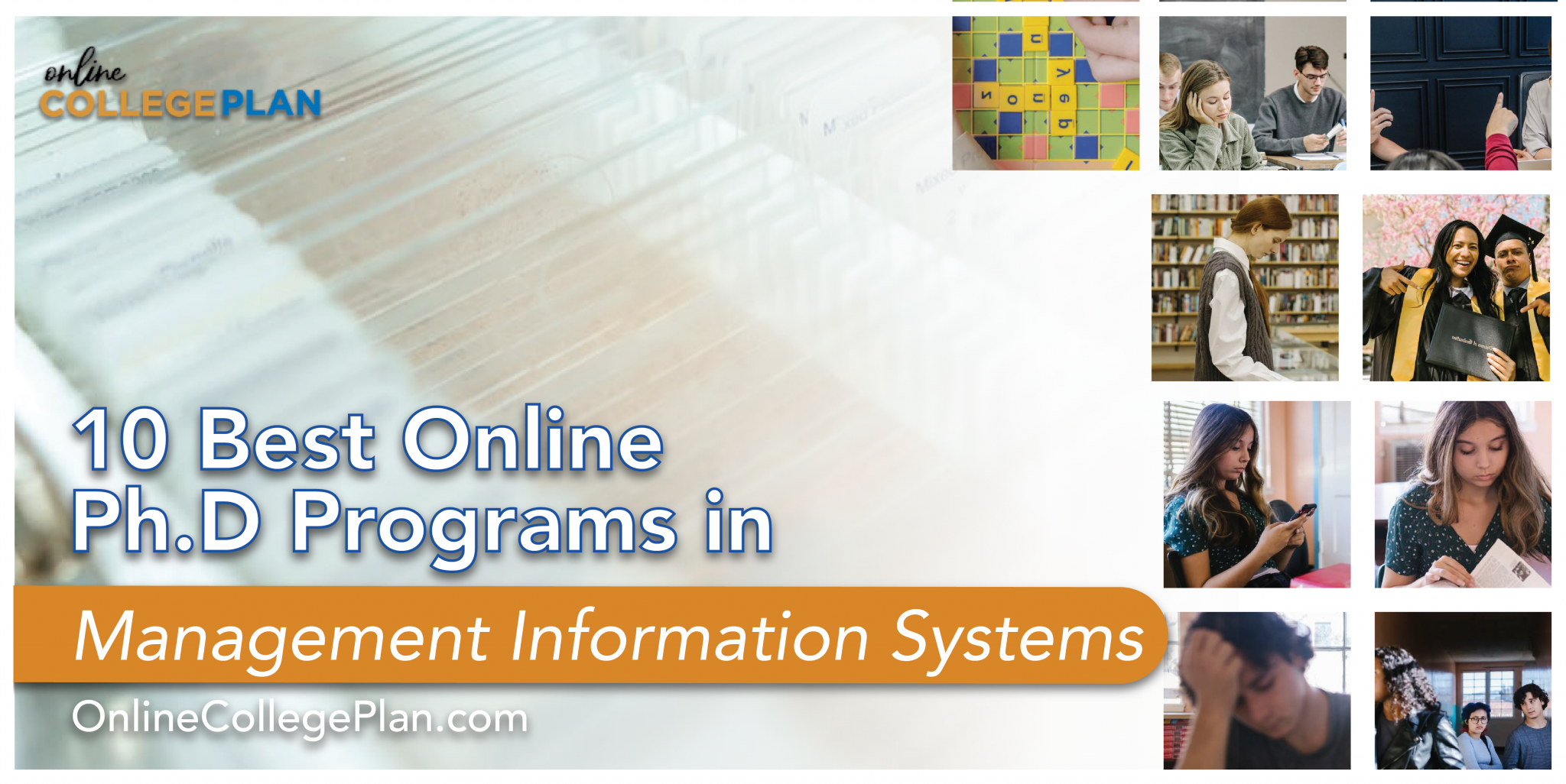 online phd management programs