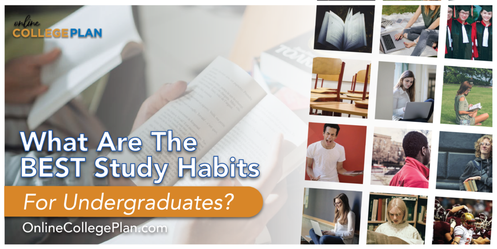 best study habits undergraduates