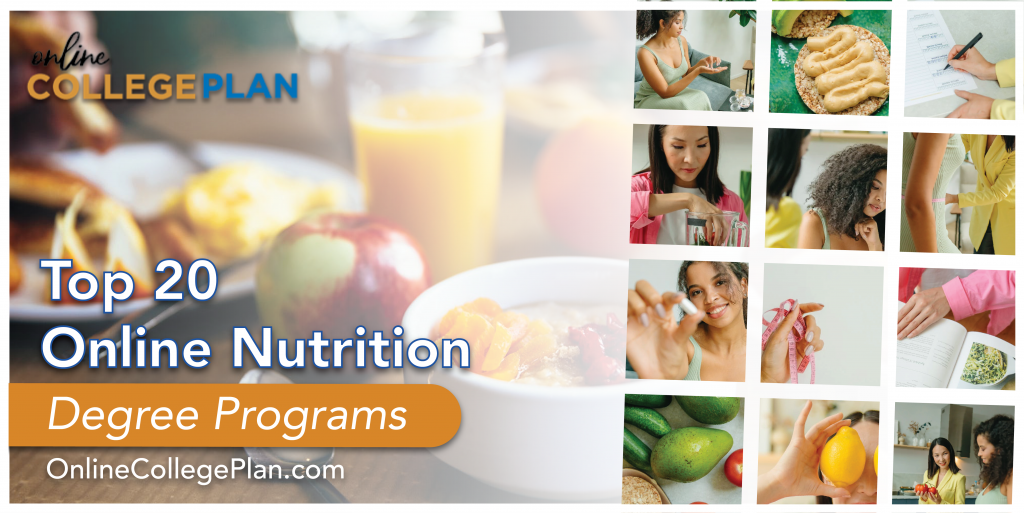 online nutrition degree