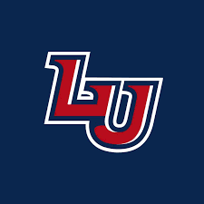 research doctorate and professional doctorates degree: Liberty University 