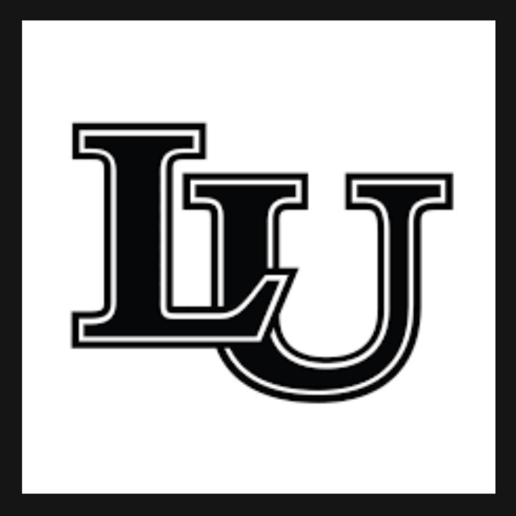 AI - Miami International University of Art & Design