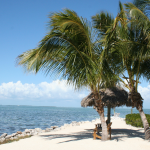 online colleges in Florida