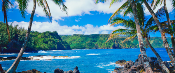 Online Degree Programs in Hawaii