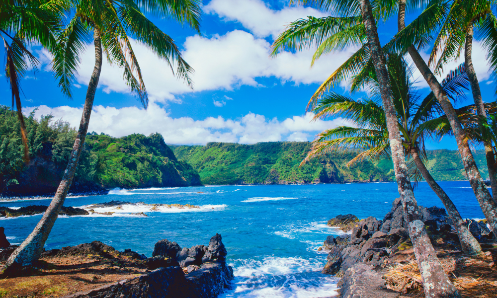 Online Degree Programs in Hawaii