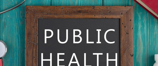 public health masters degree online