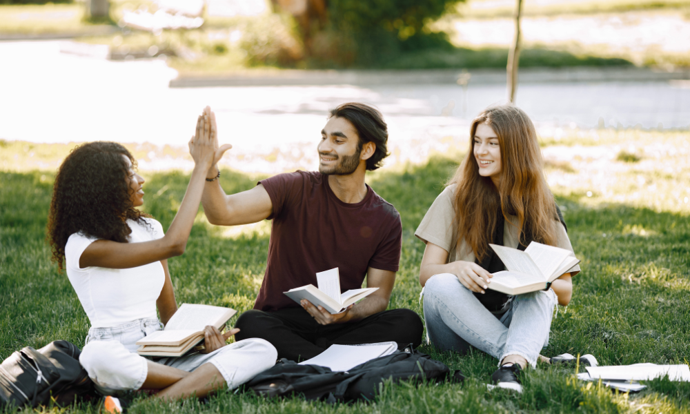 University of Maryland School Profile