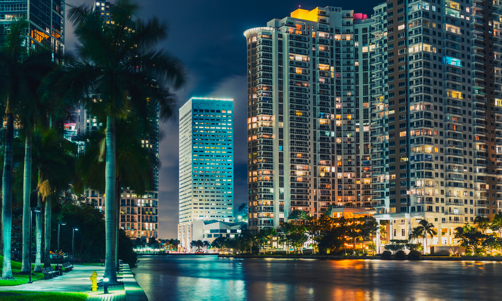 University of Miami School Profile