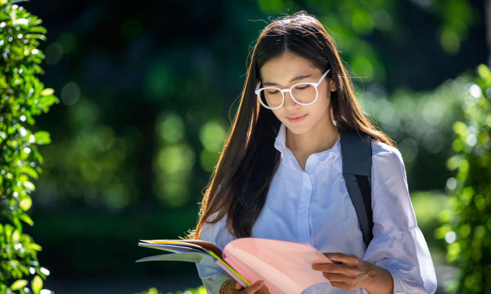 Briar Cliff University school profile