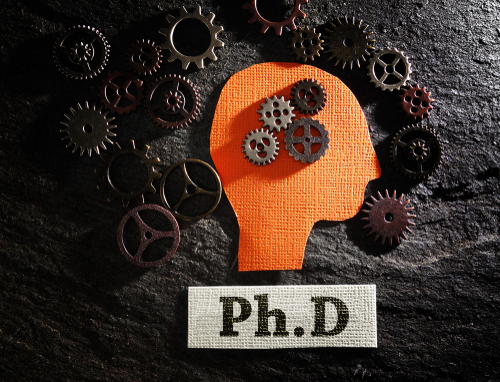 Best Online PhD Programs