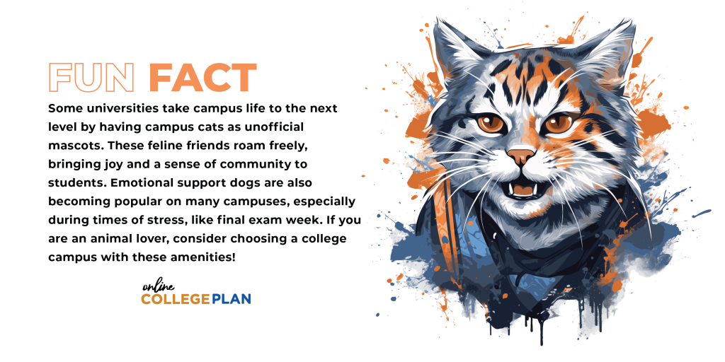 Fun fact: Some universities take campus life to the next level. They have unofficial campus cats as mascots! These feline friends roam freely, bringing joy and a sense of community to students. Emotional support dogs are also becoming popular on many campuses. This is especially true during times of stress, like final exam week. If you are an animal lover, consider choosing a college with campus facilities like this!