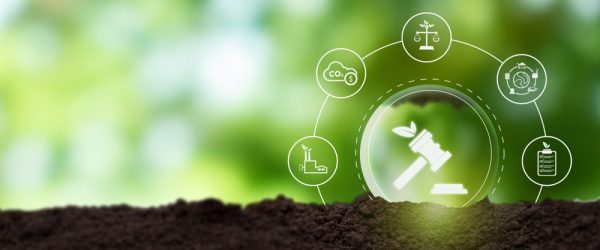 Environmental Policy